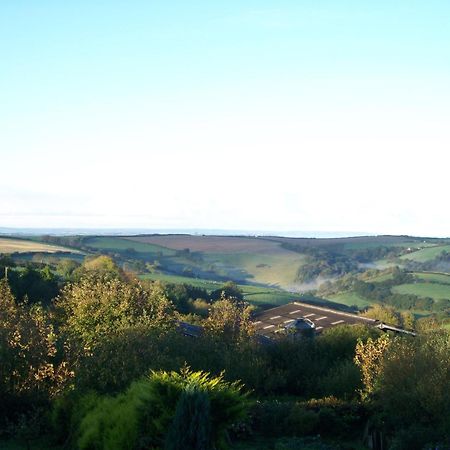 Stoke House Bed And Breakfast Stoke Rivers Bagian luar foto