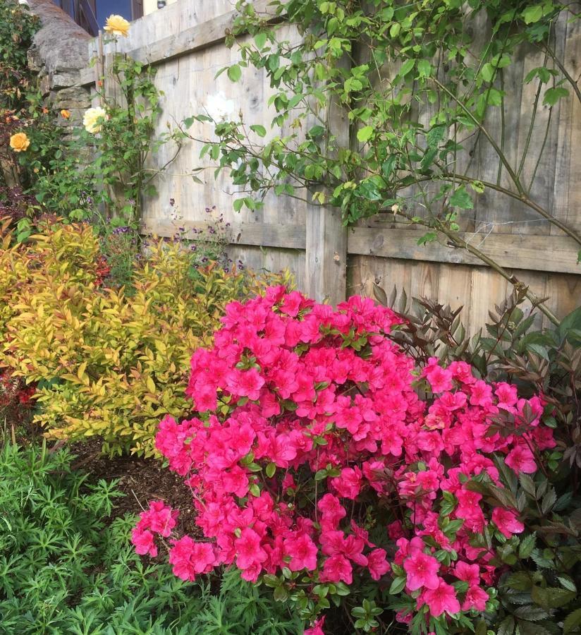 Stoke House Bed And Breakfast Stoke Rivers Bagian luar foto