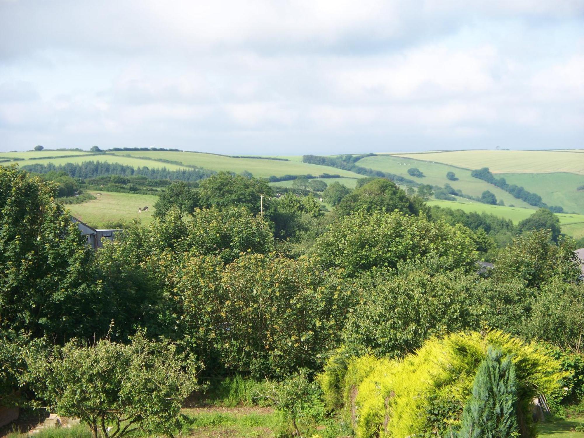 Stoke House Bed And Breakfast Stoke Rivers Bagian luar foto